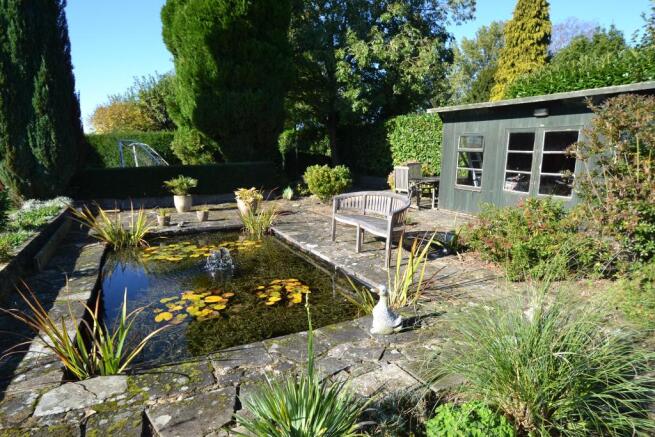 Pond