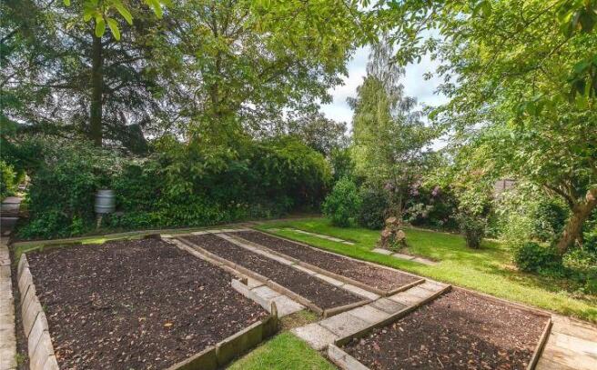 Vegetable Garden