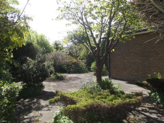 Garden 5