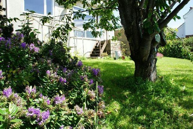 Garden.