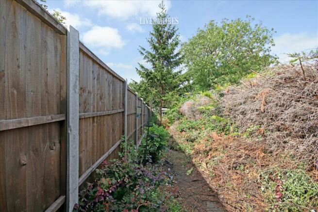 Garden.jpg