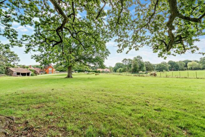 Grounds