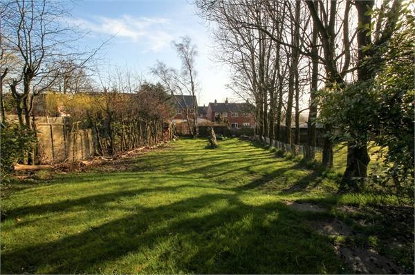 Garden 1 