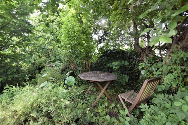 Garden 2