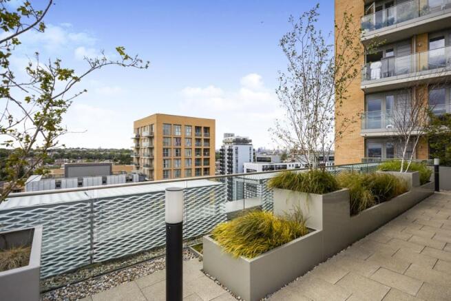 Roof Terrace