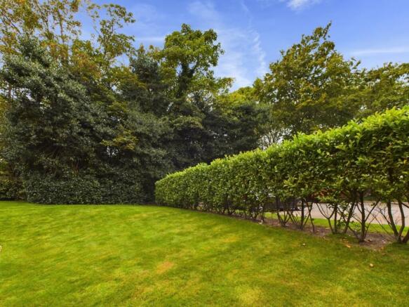 Communal Garden 