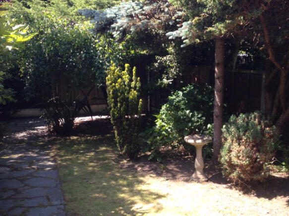 Photo 13