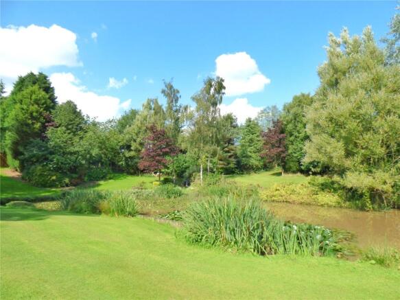 Pond