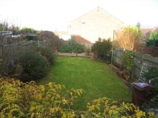 Garden 1