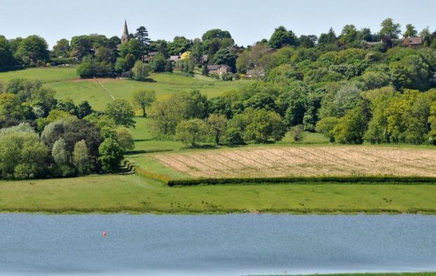 View From Reservoir