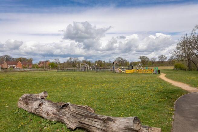 The Park