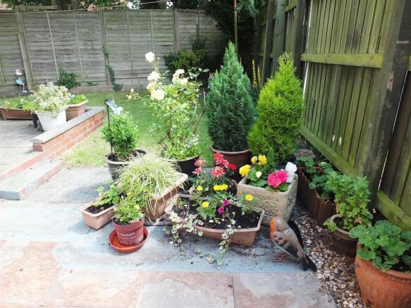 Garden 3.jpg