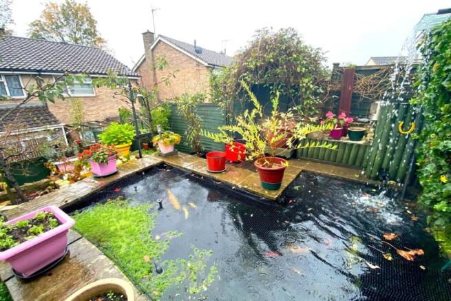 Pond