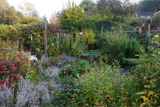 Cottage Garden