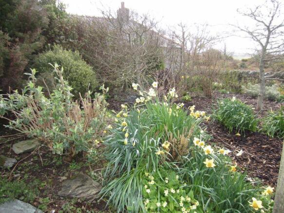 Garden on driv...