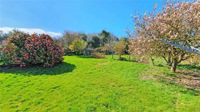 Picture No. 22