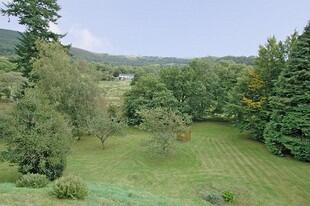 Garden Photo 1