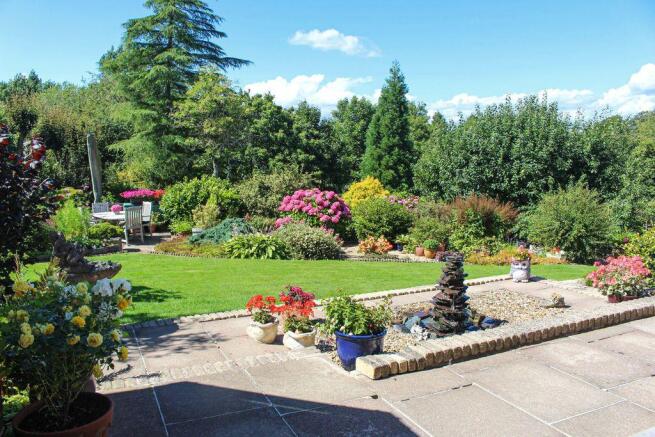Garden at Back