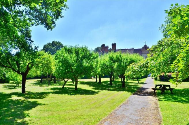Orchard
