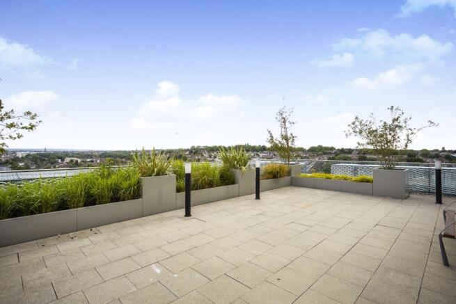 Roof Terrace