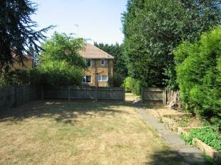 Garden 2
