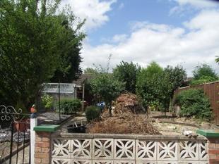 Photo 4