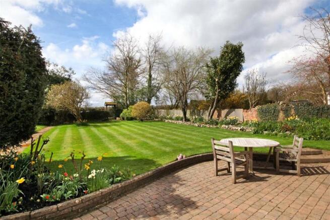 Woodrow: Garden