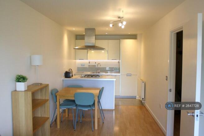 Dinning + Kitchen