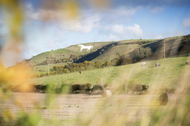 The famous White Horse