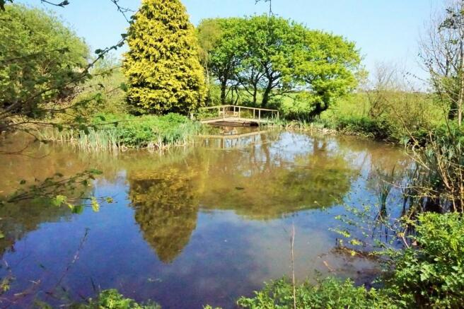 Pond
