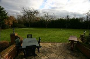 Patio Area