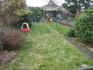 LAWN AREA