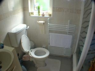 Shower room