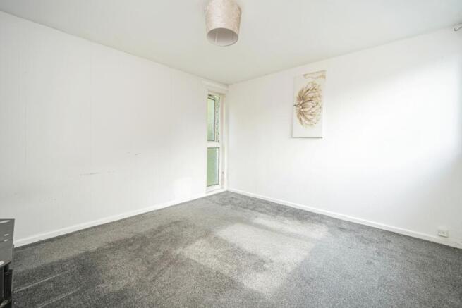 IMAGE 12