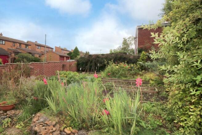 Vegetable Garden