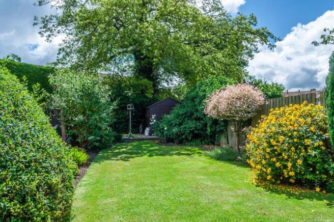 Garden at Back