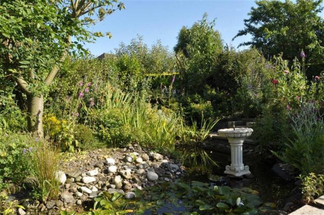 POND