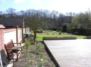Decking Area