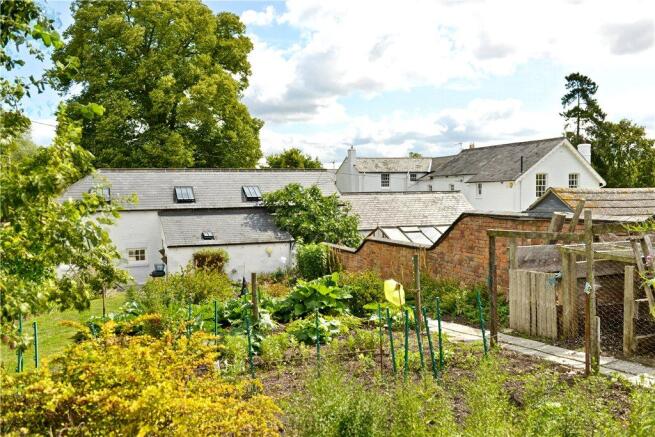 Kitchen Garden