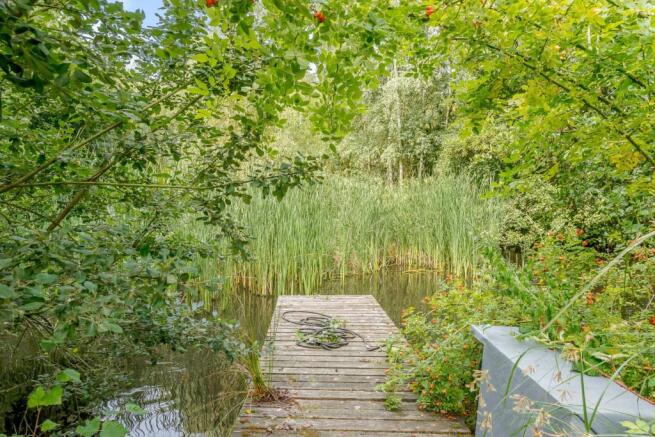 Pond