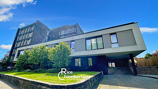 Untitled design (7).png