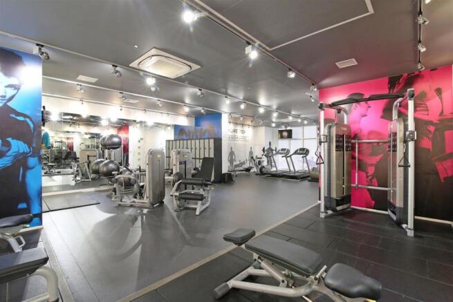 Gymnasium.jpeg