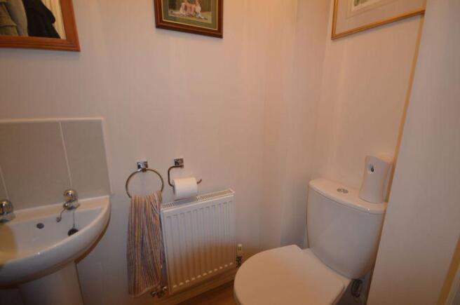 Photo 7