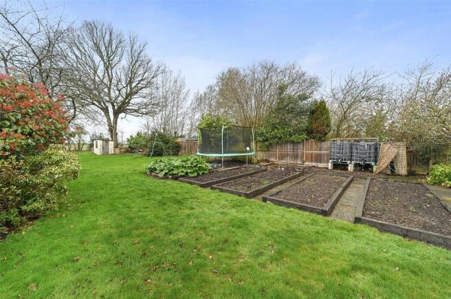 Vegetable Garden