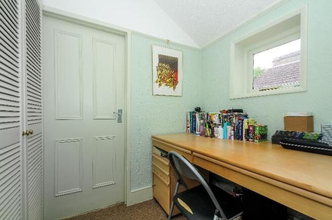 STUDY AREA