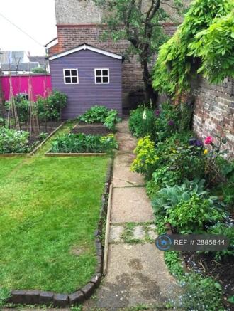 South Facing Back Garden