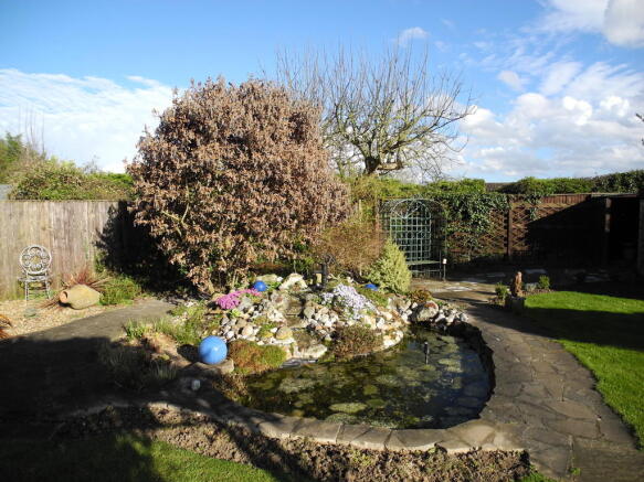 Photo 15