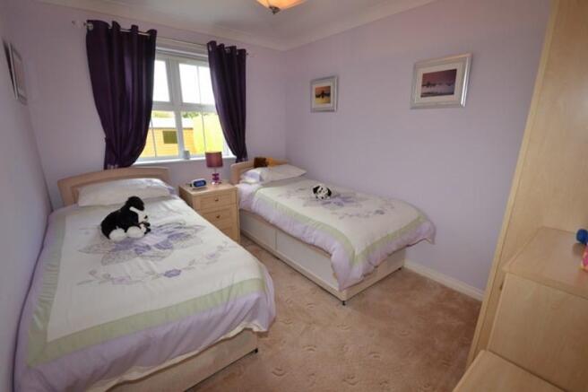 Photo15