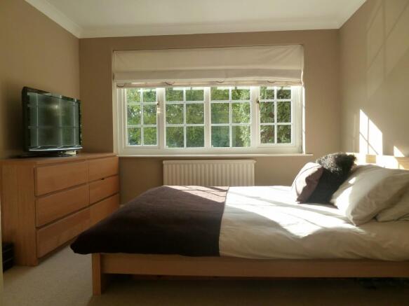Photo 8