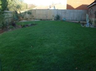 Rear Garden Shot 1